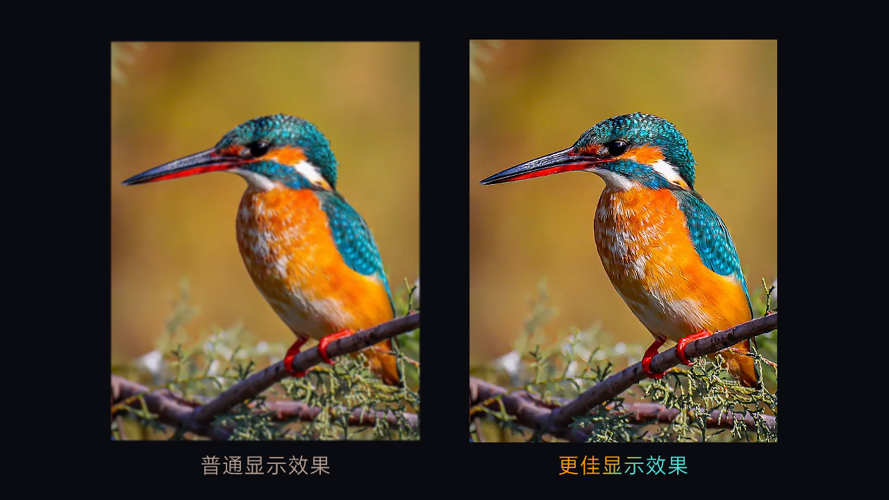 显示效果对比.jpg